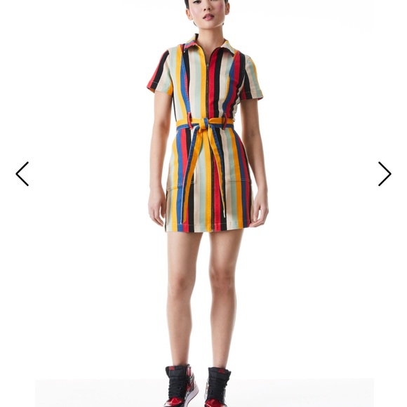 Super versatile Bohemian striped denim belted dress, Size 10! Alice + Olivia! - Picture 2 of 16